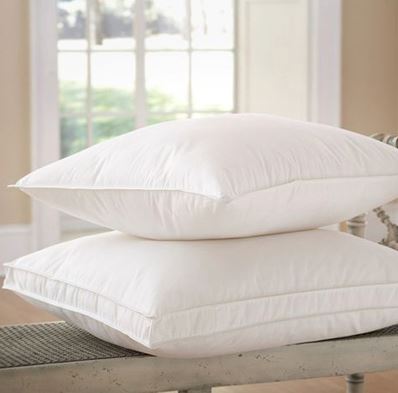 Sierra Down Alternative Pillows